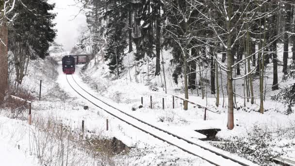 Drei Annen Hohe Alemanha Fevereiro 2018 Locomotiva Vapor Harzer Schmallspurbahnen — Vídeo de Stock