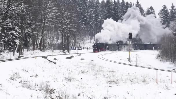 Drei Annen Hohe Alemanha Fevereiro 2018 Locomotiva Vapor Harzer Schmallspurbahnen — Vídeo de Stock