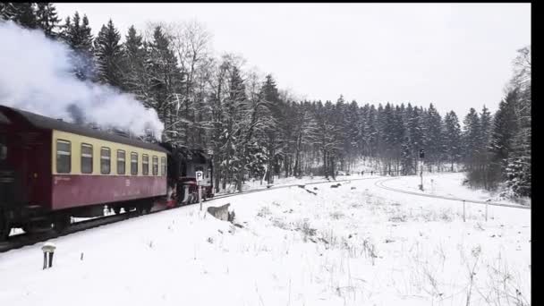 Drei Annen Hohe Německo Února 2018 Parní Lokomotivu Harzer Schmallspurbahnen — Stock video