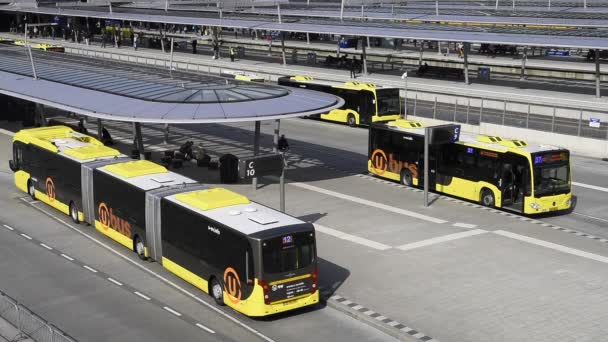 Utrecht Niederlande März 2017 Bushaltestelle Mit Gelben Bussen Und Reisenden — Stockvideo