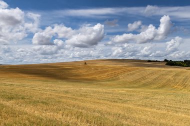 Biçilmiş tahıl alanları saman balya ve bulutlar yazında, Auxerre, Fransa.