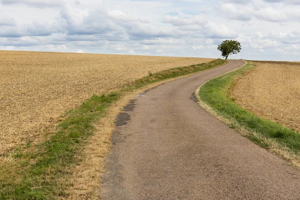 Road Countryside Tree Agricultrural Fields France — Stock Photo, Image