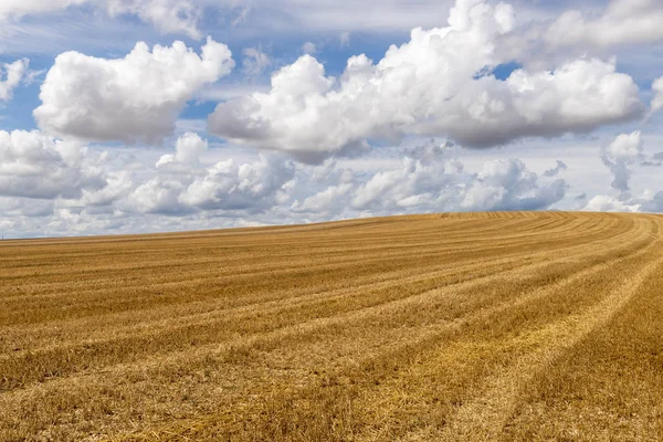 Campos Grãos Ceifados Com Nuvens Verão Auxerre França — Fotografia de Stock