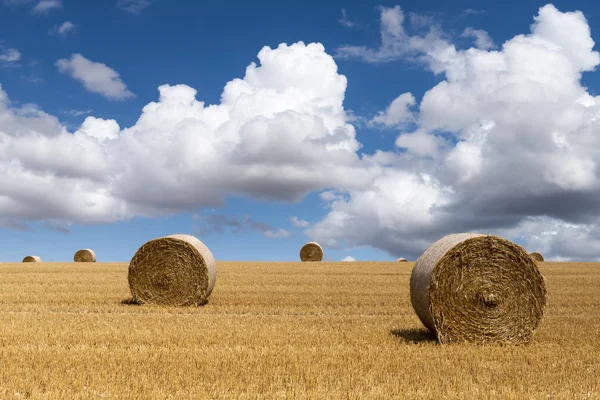 Strawbales Sammansättning Jordbruks Korn Fält Morvan Frankrike — Stockfoto