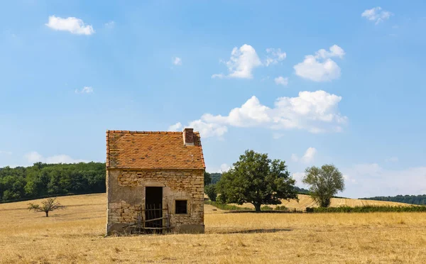 외로운 프랑스에서에서 여름에는 옥수수 — 스톡 사진