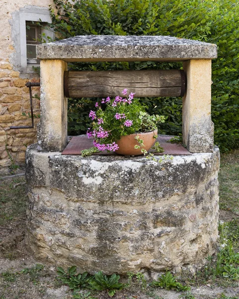 Pozo Agua Saonne Loire Francia Con Flores Geranio Pelargonium — Foto de Stock