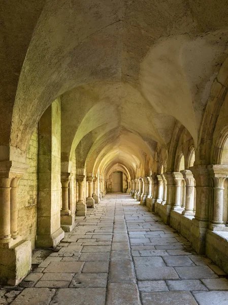로마네스크 Cisterian 수도원 코트도 프랑스의 회랑의 프랑스 2018 아케이드 — 스톡 사진