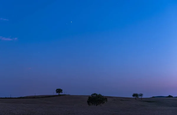 Four Trees Field Valveron Sunset Early Night Stars — Stock Photo, Image