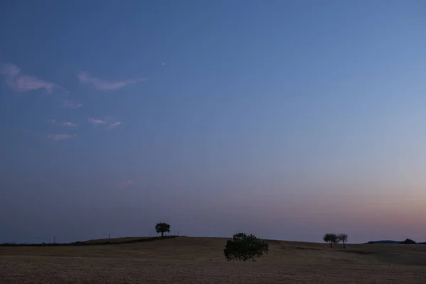 Four Trees Field Valveron Sunset Early Night Star — Stock Photo, Image