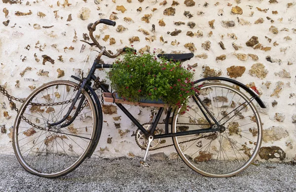 Old Black Bike Parked Natural Wall Purple Flowers Hanging Frame — Stock Photo, Image