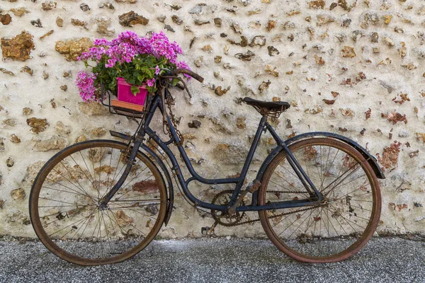 老黑色自行车与紫色花 天竺葵 在方向盘 — 图库照片