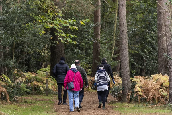Brockenhurst Inglaterra Octubre 2018 Senderistas Hombres Mujeres Pie Parque Nacional — Foto de Stock