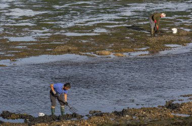 Keyhaven, İngiltere - 24 Ekim 2018: iki kişi, adam, Kuzey Denizi, İngiltere'de mudflats solucanlar için arama.
