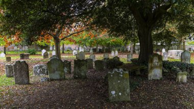 Lymington mezarlıkta sonbahar ağaç ve mezar taşları.