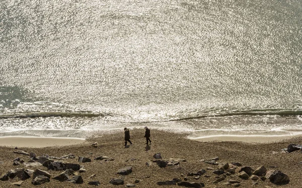 バートン海 イングランド 2018 輝水と海と二人 ビーチで犬と — ストック写真