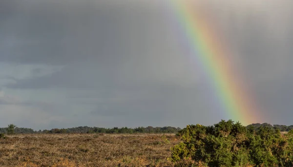 雨と嵐秋 イギリスでヒースと新しいフォレストの虹 — ストック写真