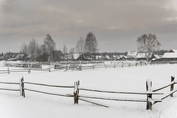 Guszczewina Wieś Domów Gospodarstw Rolnych Ogrodzenia Zimie Park Narodowy Białowieży — Zdjęcie stockowe