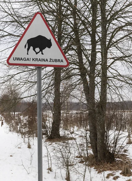 Bialowieza Polônia Janeiro 2019 Sinal Trânsito European Bison National Park — Fotografia de Stock