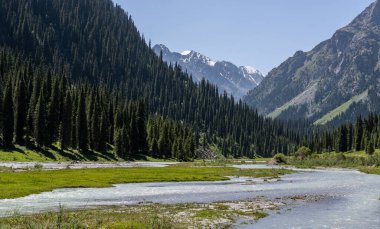 Nehirli Karakol Vadisi ve Kırgızistan 'da karlı büyük dağlar.