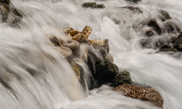 Σκελετός Ζώου Ένα Άγριο Ορεινό Ρέμα Στο Κιργιστάν — Φωτογραφία Αρχείου