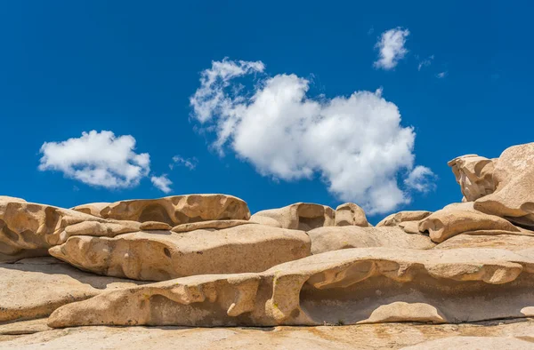 Kazakistan 'da Bektau Ata' daki kaya oluşumları yaz günlerinde heykellerle.