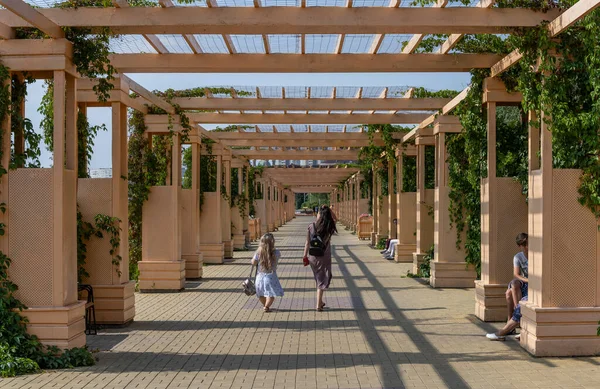 Pavlodar, Kazakistan - 27 Temmuz 2020: Pavolodar 'da bir yaz gününde başıboş insanlarla bahçe.