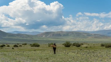 Tolbo, Moğolistan - 4 Ağustos 2019: Moğolistan bozkırında geleneksel şapka ve yakacak odunu olan adam.