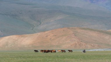 Moğolistan 'da bir yaz gününde dağlar, atlar ve motorsikletle.