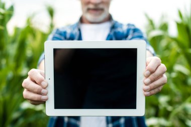 Çiftçi alanı gösteren tablet, closeup fotoğraf