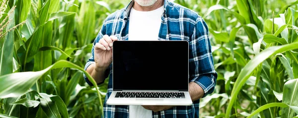 Mezőgazdasági Termelő Mező Találat Laptop Képernyő Közelkép Fotó — Stock Fotó