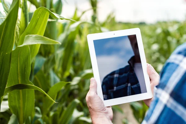 Farmer Mező Gazdaság Modern Tabletta Közelkép Fotó — Stock Fotó