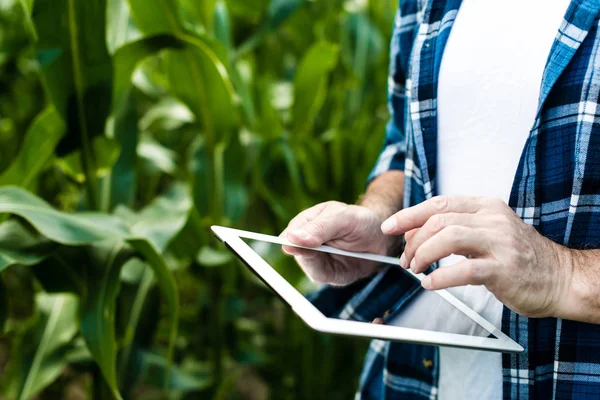 Boer Het Veld Weergegeven Tablet Close Foto — Stockfoto