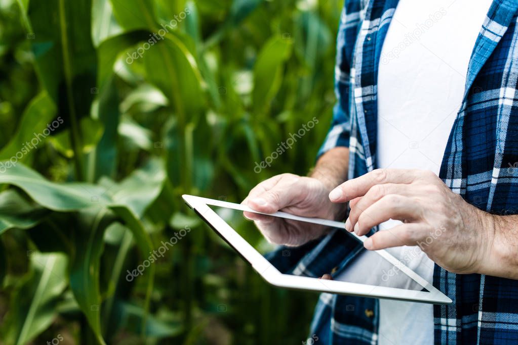 Farmer in the field showing tablet, closeup photo