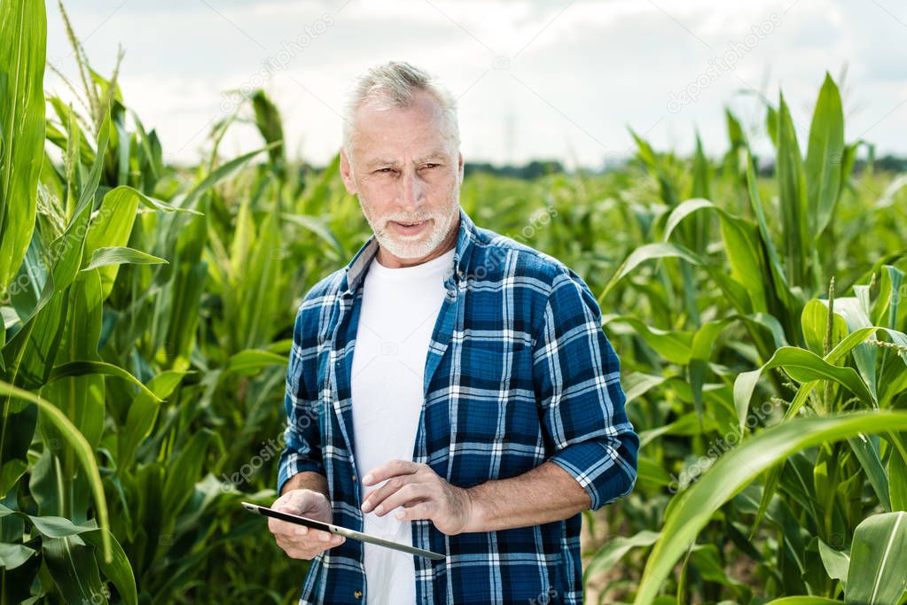 Farmer in the field