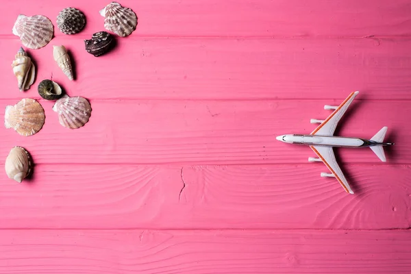 분홍색 배경에 조개껍데기 — 스톡 사진
