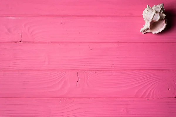 Seashells Pink Wooden Background — Stock Photo, Image