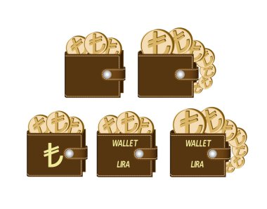 Lirası paraları ile kahverengi cüzdan set 