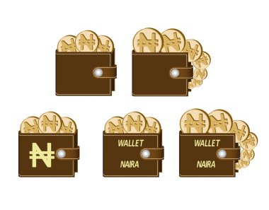 naira paralar ile kahverengi cüzdan set