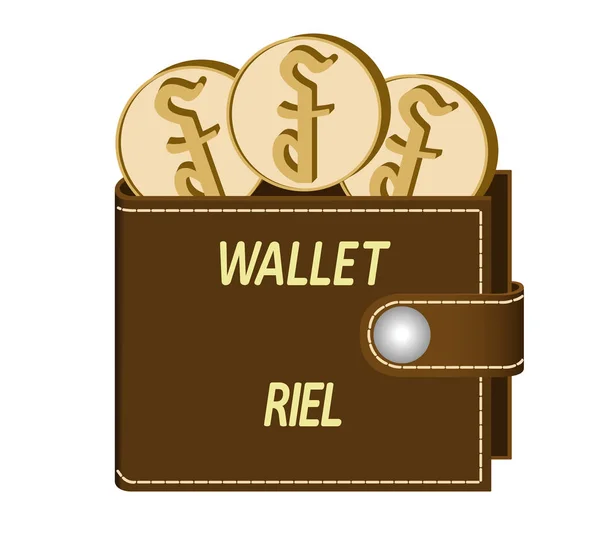 Bruin portemonnee met riel munten — Stockvector