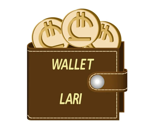 Billetera marrón con monedas de lari — Archivo Imágenes Vectoriales
