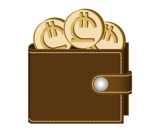 Braune Geldbörse mit Lari-Münzen — Stockvektor