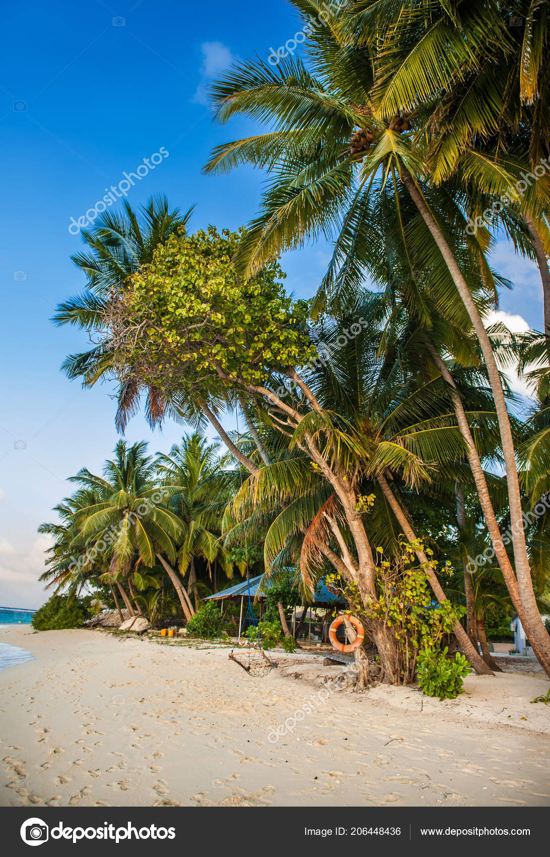 Plage Tropicale Paradis Maldives Tropical Maldives Avec