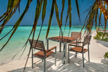 Masa ve sandalyeler Maldives.Tables tropik bir adada okyanus plaj ve sandalyeler tropik bir adada palmiye ağacının gölgesinde.
