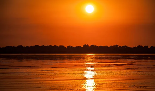 Захід Сонця Дунай Дельта Romania Beautiful Blueish Вогні Воді Гарний — стокове фото