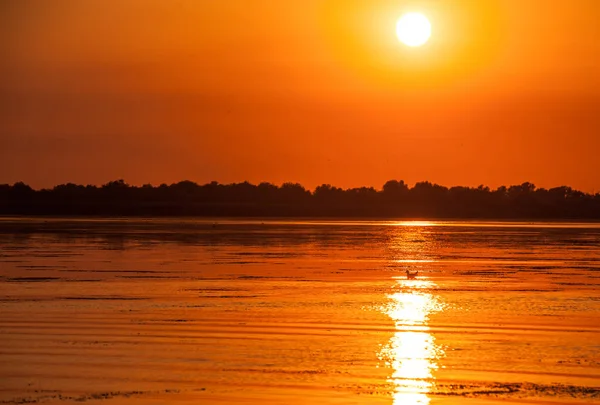 Zachód Słońca Danube Delta Romania Beautiful Niebieskawe Światła Wodzie Piękny — Zdjęcie stockowe