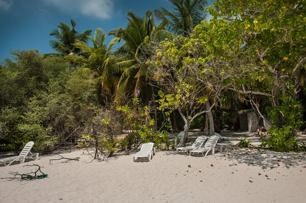 Тропический Рай Мальдивах Пальмами Песком Голубым Небом — стоковое фото
