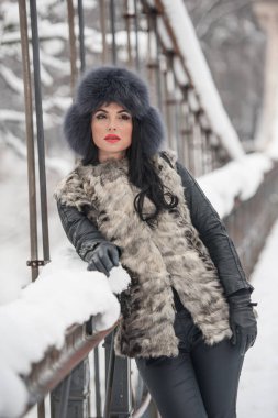 Siyah Kürk kap ve gri yelek kış zevk çekici kadın. Kar kaplı köprü karşı poz moda esmer kız yan görünüm. Güzel genç kadın, soğuk hava kıyafeti