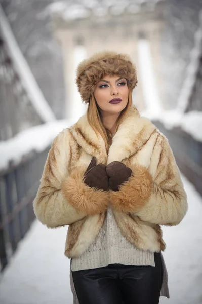 Donna Attraente Con Berretto Pelliccia Marrone Giacca Godendo Inverno Vista — Foto Stock