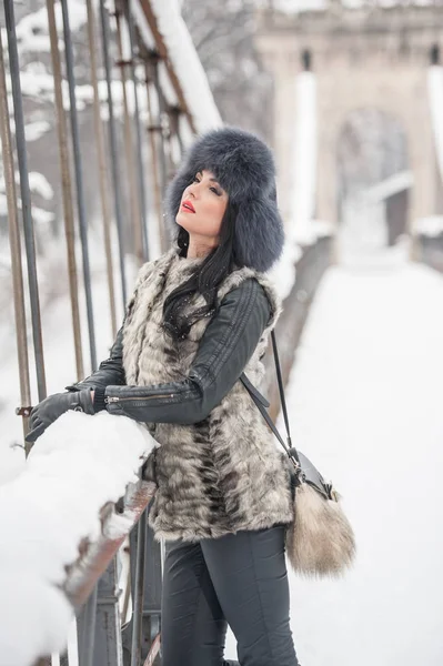 迷人的妇女与黑色毛皮帽和灰色背心享受冬季 侧视图时尚黑发女孩摆姿势对雪覆盖的桥梁 美丽的年轻女性与寒冷的天气装备 — 图库照片
