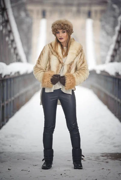 Atraktivní Žena Hnědou Kožešinovou Čapku Sako Těší Zimu Boční Pohled — Stock fotografie